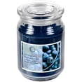 thumbnail image 1 of CANDLE BLUEBERRY, 1 of 1