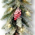 thumbnail image 4 of National Tree Company Artificial Christmas Garland, Green, Dunhill Fir, Decorated with Pine Cones, Berry Clusters, Frosted Branches, Christmas Collection, 9 Feet, 4 of 5