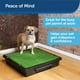 thumbnail image 2 of Orinal portátil para perros PetSafe para adiestramiento doméstico, 2 of 6