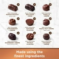 thumbnail image 5 of RUSSELL STOVER Assorted Milk & Dark Chocolate Gift Box, 16 oz. (≈ 28 pieces), 5 of 5