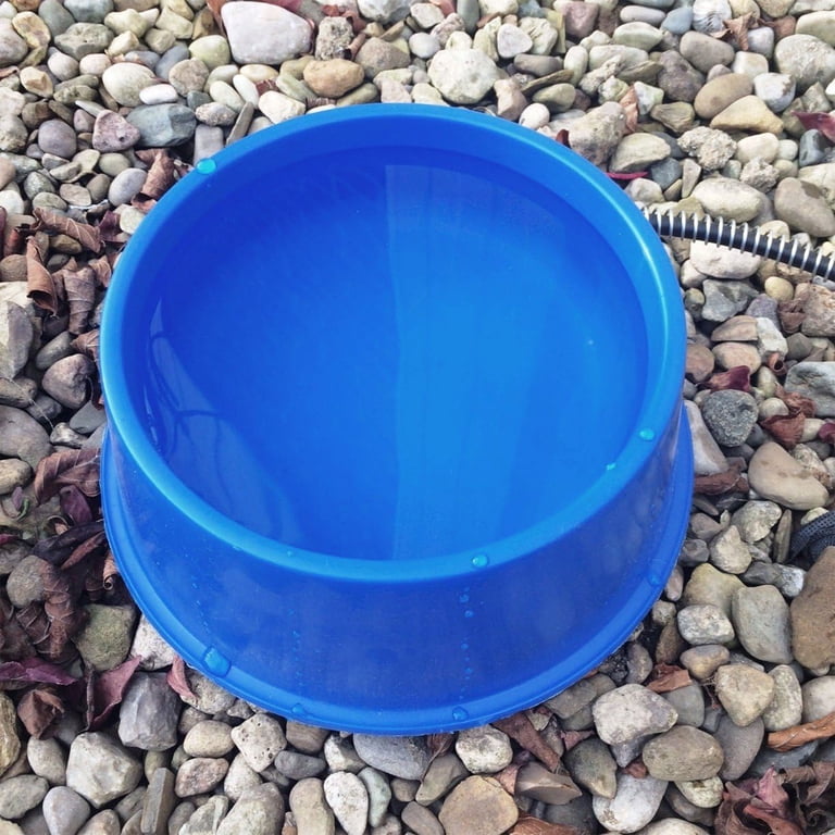 Farm Innovators 1 Qt Round Heated Pet Bowl, Blue photo 4