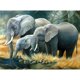 thumbnail image 1 of Taladro de diamante Elefantes migratorios 5D DIY Kits de pintura Decoración de arte de pared redonda completa Hugtrwg Para estrenar, 1 of 9