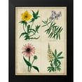 thumbnail image 2 of Maund, Benjamin 12x14 Black Modern Framed Museum Art Print Titled - Botanical Grid IV, 2 of 5