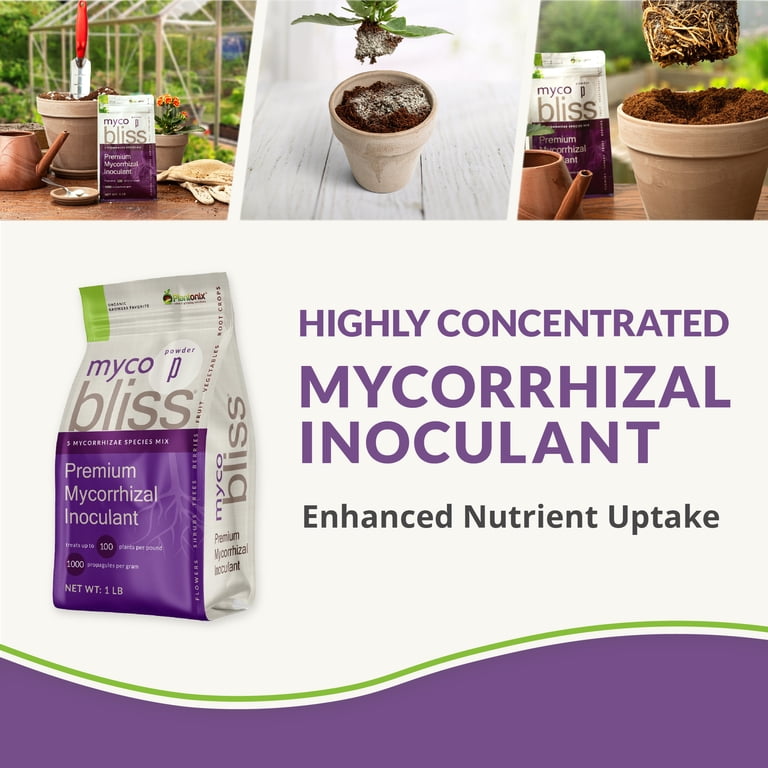 Plantonix Myco Bliss Premium Organic Inoculant Powder for Plant