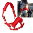 thumbnail image 3 of Espesar Pony Horse Halter Head Collar Hípica Estable Protectora Rojo S Sunnimix cabestro acolchado ajustable, 3 of 7