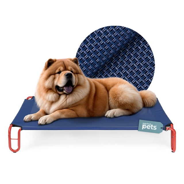 Cama Elevada para Perro con Malla Transpirable, Catre de Mascotas Esquimal(Azul - Rojo,110x76x20 cm)