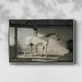 thumbnail image 2 of Vintage Animal Print-XLIII By Wexford Home Framed in Silver Wood Gallery Wrapped Canvas 25 in. x 37 in., 2 of 7