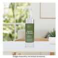 thumbnail image 4 of Home Spray Alta Mainstays Esencia de Bosque 250 Ml, 4 of 4