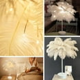 thumbnail image 4 of Lamp Metal Table Lamp LED Decorative Ostrich Feather Atmosphere Night Lights Bedside Lamps for Home Party Wedding Decoration Gifts for Dad Mom Wife Girlfriend Girls(White), 4 of 5