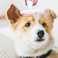 thumbnail image 4 of Pet Comb Portable Professional Lice Comb Pet Grooming Comb for Dogs Cats, 4 of 7