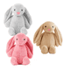 thumbnail image 1 of Orejas Largas Conejo Juguetes De Muñeca Peluche 3pcs Lab.g, 1 of 5
