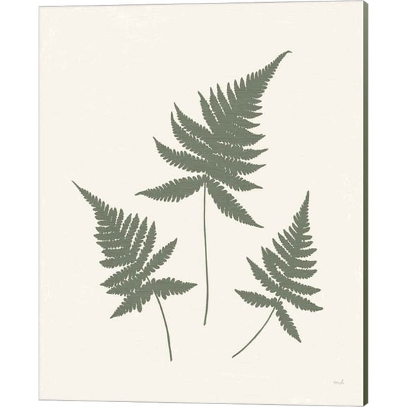 Great Art Now Forest Shadows IV Green on Cream Crop by Moira Hershey, Canvas Wall Art, 16W x 20H