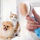 thumbnail image 4 of Pet Grooming Brush with One-Touch Hair Removal for Cats and Dogs, Suitable for Most Pets, 4 of 5