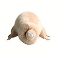 thumbnail image 4 of SSRGV 25CM/9.8' Lindo Juguete de Peluche Tardígrado, Juguete de Peluche Suave, Encantador muñeco de Insecto Oso de Agua para niños Juguete Educativo Regalo de cumpleaños para niños Halloween, 4 of 5