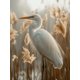 thumbnail image 1 of Qisvanset Framed Canvas Wall Art 12x16 Inch Reed Heron Minimal Tranquil Coastal Bird Art, 1 of 5