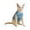 Blue, variant on Cat Recovery Suit for Surgery, Soft Post Surgery Pet Onesie with Adjustable Closure, Anti Lick Protective Suit for Female Cats After Spay and Weaning Care