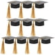 thumbnail image 4 of Cubierta de copa de tapa de mini de graduación de 10 piezas Cubierta de copa de doctorado Copa de copa de vinos, 4 of 7