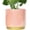Pink, variant on Pink Indoor Plant Pots for Plants, Large Ceramic Planter with Drainage Hole, 9.6-inch Succulent Orchid Flower Pot - Rainbow Pearl Glaze