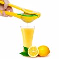 thumbnail image 1 of IXIR Aluminum Built 2 in 1 Lemon Lime Juicer With Long Hand Press Squeezer For Seedless Juice, 1 of 9
