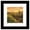 Black Framed Version, variant on Gallery Pops Lantern Press - Joshua Tree National Park California Wall Art, Unframed Version, 12" x 12"