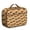 Camel-32, variant on Floral Dinosaur Lunch Bag – Minimalist Dinosaur Aesthetic Roaring Dinosaur Design Insulated Lunch Tote for School
