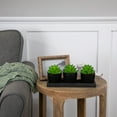 thumbnail image 2 of Northlight Mini Artificial Potted Succulents with Wood Planter - 5" - Set of 3, 2 of 6