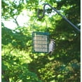 thumbnail image 3 of Wildlife Sciences Suet Plus Variety 6 Pack, Eco-Friendly Packaging, 3 of 9