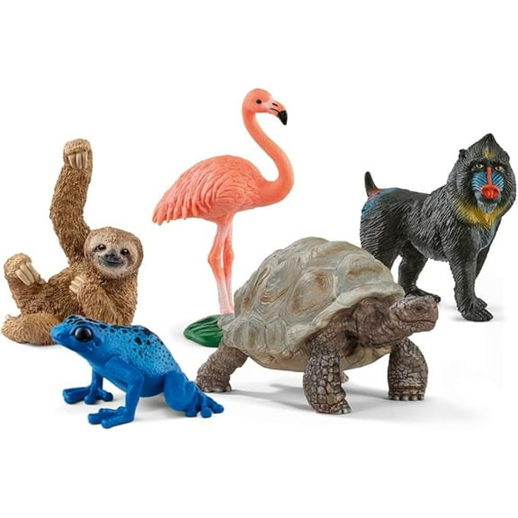 Schleich Wild Life - 5PC Exotic Animal Starter Playset with Flamingo, Sloth, Frog, Tortoise and Monkey Figures - Animal Toys for Kids 5  - 77590