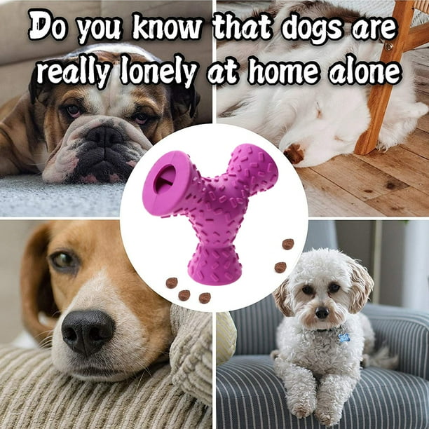 Home alone dog toy medium 2025