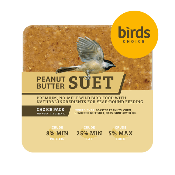 Birds Choice Peanut No Melt Suet