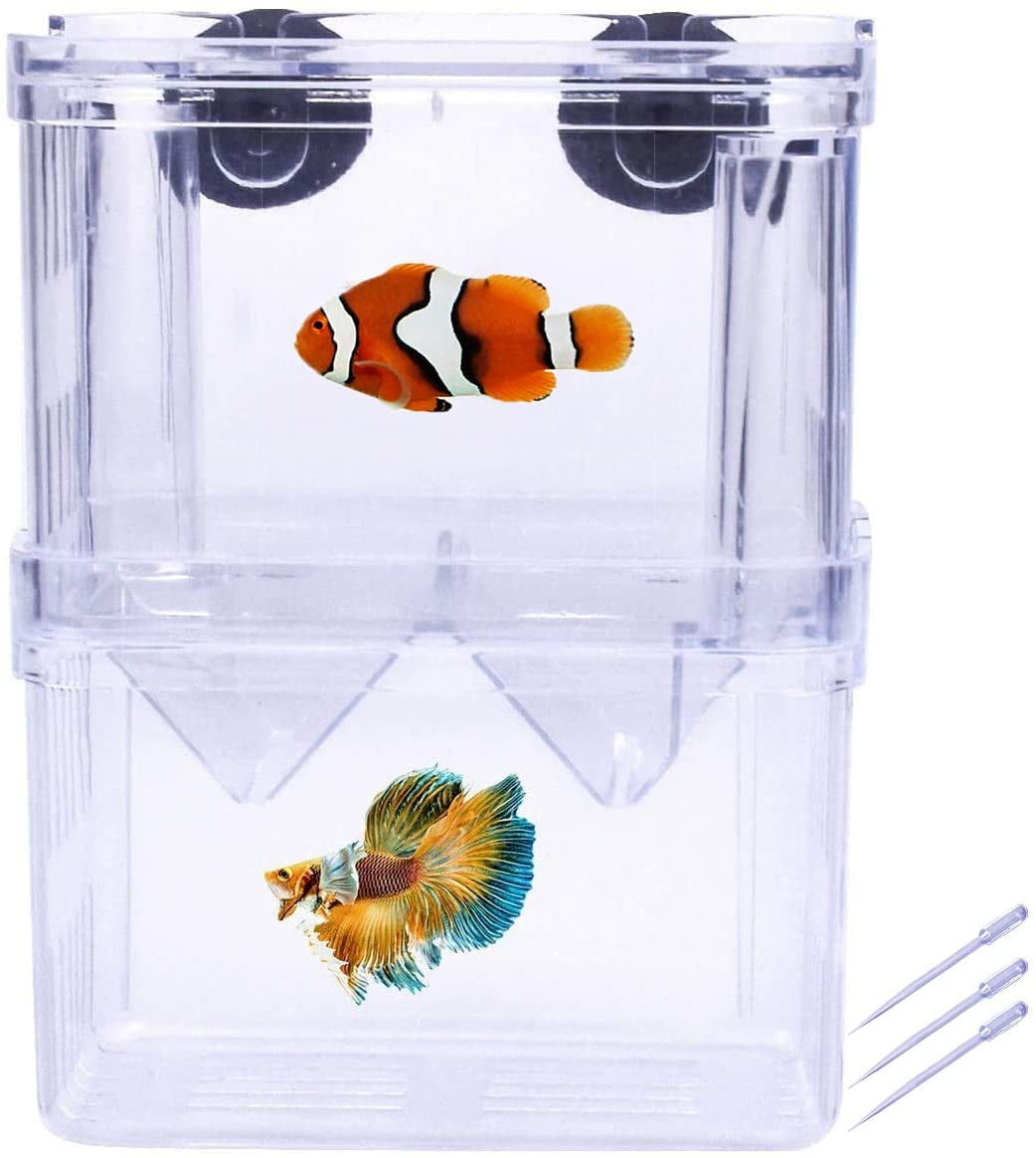 Fish Breeding Box Isolation Box Aquarium Fish Tank Hatchery Incubator ...