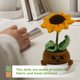 thumbnail image 4 of Interesante Planta en Maceta Tejida Hecha A Mano Muñeca Tejida Con Tarjeta (B) Planta en Maceta Con Girasol, 4 of 9