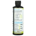 thumbnail image 2 of Barlean's Seriously Delicious Omega-3 High Potency Fish Oil Citrus Sorbet 16 oz Liquid, 2 of 4