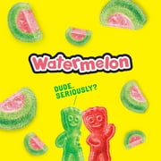 SOUR PATCH KIDS Watermelon Soft & Chewy Gummy Candy, 3.6 oz
