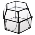 thumbnail image 1 of LOVIVER Glass Geometric Terrarium Air Plants Containers Balcony Fern Pots, 1 of 8