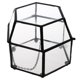 thumbnail image 1 of Caja de Terrario Kusrkot Invernadero, 1 of 8