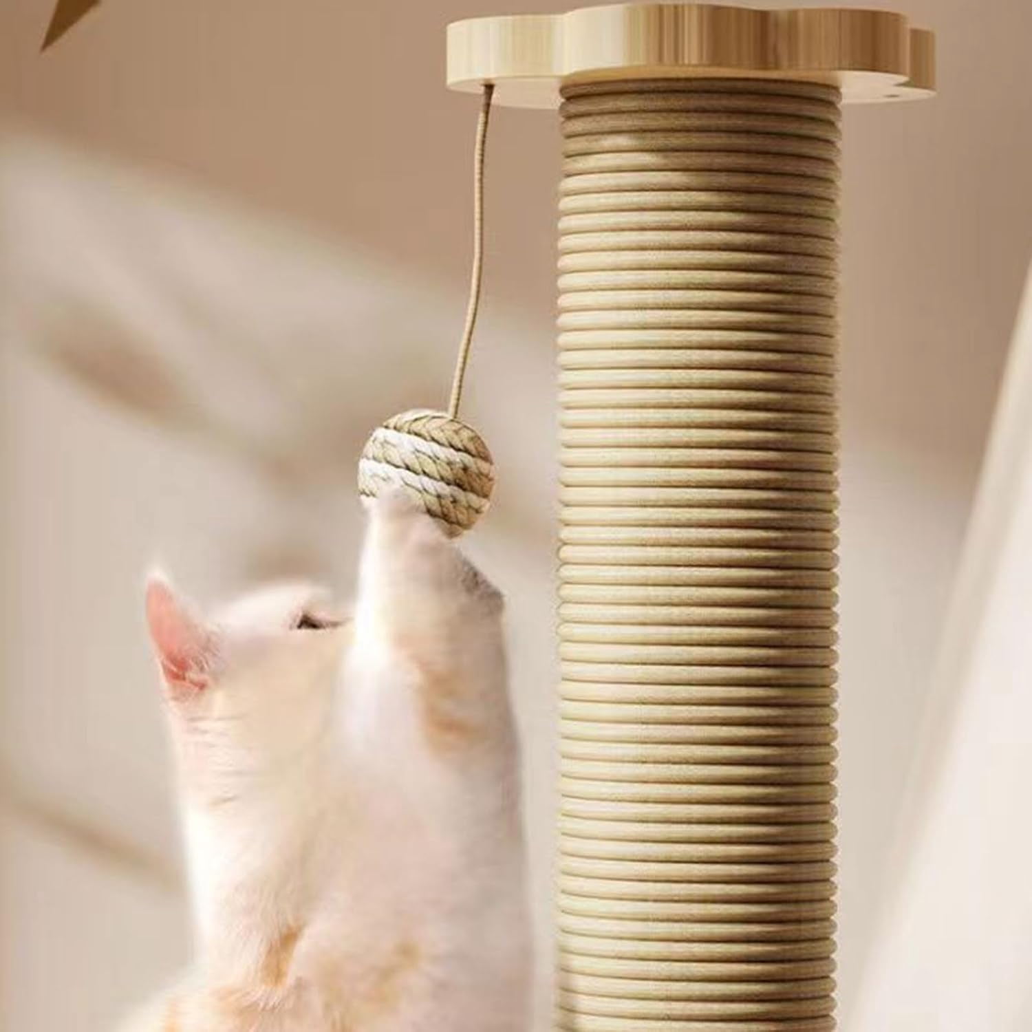 Cat Scratching Post, 4 in 1 Wooden Cat Scratcher Toy, 15.75" Tall Scratch Post with 2 Level Cat Track Balls, Interactive Cat Feather Toy and 2 Sisal Hanging Balls for Indoor Kittens