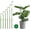 6 Pack, variant on Yhtpouqe 3 Pack Extendable Plant Stakes, 16.5-42.5 Inch Plant Stakes for Indoor Outdoor, Adjustable Monstera Plant Support Sticks with Clips for Clombing Plants, Vine, Orchid, Tomato, Vegetables