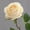 Beige, variant on Bcylexb 19.7" Imitation Rose Flowers for Valentine's Day, Artificial Bloom with Stem for Display, Gift Fake Flowers Decor for Home, Wedding or Party, Beige