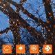 thumbnail image 5 of LED al aire libre a prueba de agua del árbol de Navidad solar de control remoto USB recargable cadena de luces de la cadena de luces de color blanco cálido Jardín Proyecto de Patio Decoració, 5 of 5
