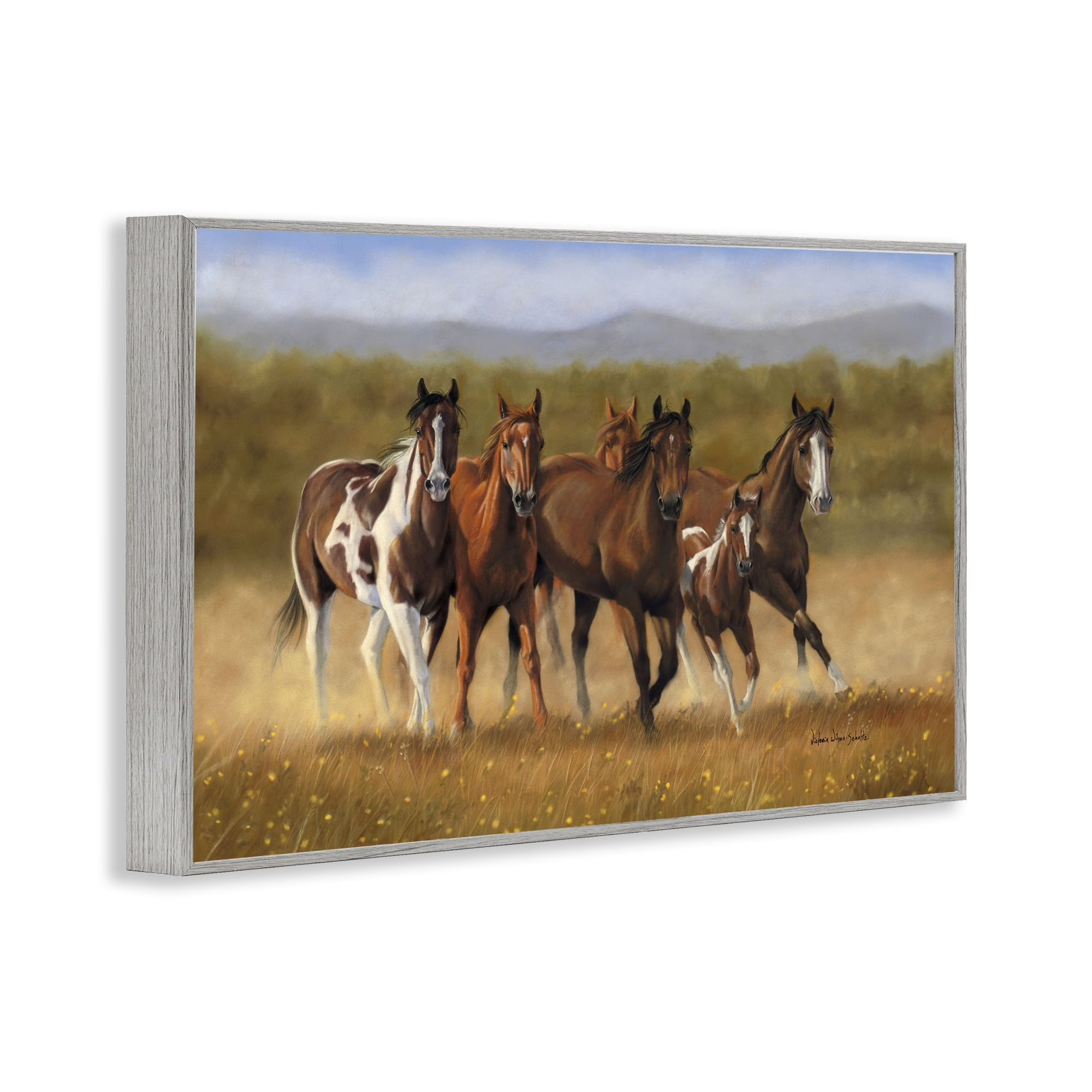 Stupell Industries Foal's First Run Animals & Insects Painting Gray Framed Art Print Wall Art, 18 x 12