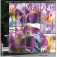 thumbnail image 4 of Ambesonne Purple Shower Curtain, Blooming Iris Flowers, 69"Wx75"L, Yellow Purple, 4 of 5