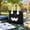 Black, variant on Portable Lunch Cooler Bag Small Size Insulated Lunch Box Oxford Cloth Thermal Food Storage Bag With Handle For Office Travel Picnic Outdoor Use Lightweight Waterproof Reusable Lunch Tote
