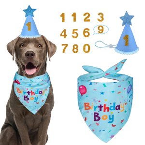 Dog Birthday Party Supplies Dog Birthday Bandana Dog Birthday Hat