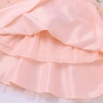 thumbnail image 5 of IDOPIP Embroidery Flower Girl Lace Tutu Dress for Kids Wedding Pageant Birthday Party First Communion Dresses Princess Bridesmaid Ball Maxi Gown 4-5 Years Pink Floral, 5 of 7
