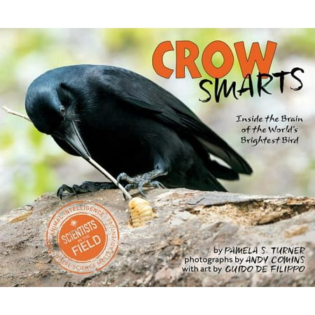 Bird Brain Flowers - Crow Smarts : Inside the Brain of the World's Brightest Bird