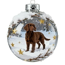 Dog Christmas Ornaments 12 Styles 2D Acrylic Dog Theme Ornament Set Shatterproof Christmas Tree De Cor For Dog Lovers Hangs 7x7x0.2cm
