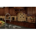 thumbnail image 2 of Coiled Spring Sprayer Faucet - Stainless Steel, 2 of 2