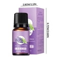 thumbnail image 1 of Pisexur Batería de cocina Aceite de masaje corporal de jengibre para limpiar meridianos de espalda (10 ml) para la cocina del hogar, 1 of 2