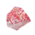 thumbnail image 1 of 1PC Translucent Epoxy Keycap With Dry Flower Elegant For Mechanical Keyboards Enhancement Keycap Pink, 1 of 4
